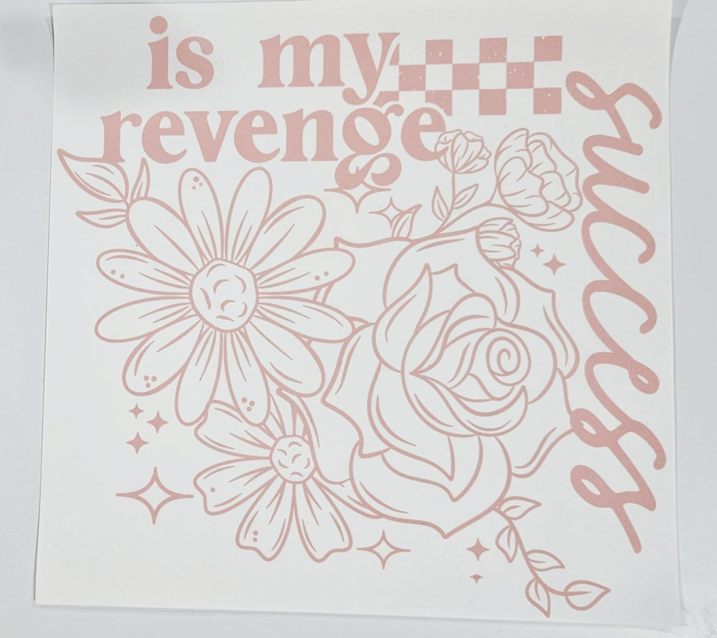 SUCCESS IS MY REVENGE